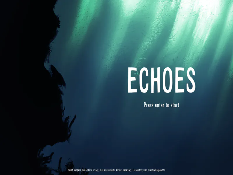 Echoes